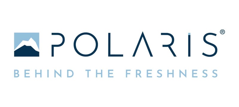 Logo Polaris